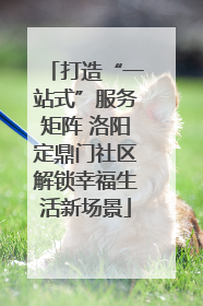 打造“一站式”服务矩阵 洛阳定鼎门社区解锁幸福生活新场景