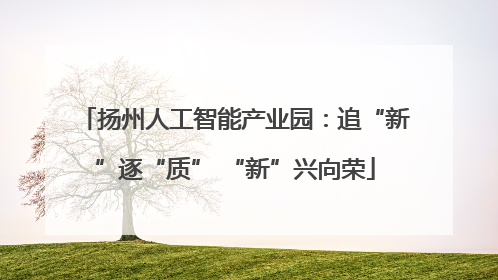 扬州人工智能产业园：追“新”逐“质” “新”兴向荣