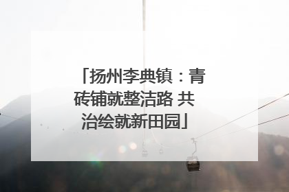 扬州李典镇：青砖铺就整洁路 共治绘就新田园