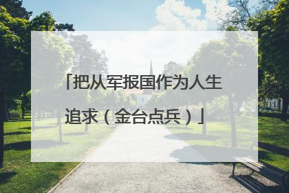 把从军报国作为人生追求（金台点兵）