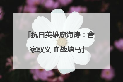 抗日英雄廖海涛：舍家取义 血战塘马