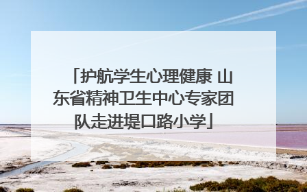 护航学生心理健康 山东省精神卫生中心专家团队走进堤口路小学