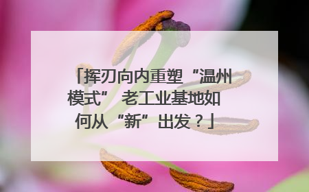 挥刃向内重塑“温州模式” 老工业基地如何从“新”出发？