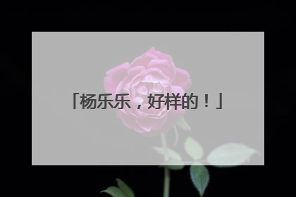杨乐乐，好样的！
