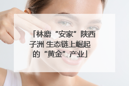 林麝“安家”陕西子洲 生态链上崛起的“黄金”产业