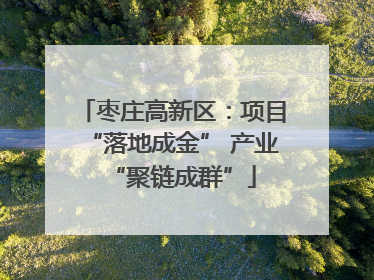 枣庄高新区：项目“落地成金” 产业“聚链成群”