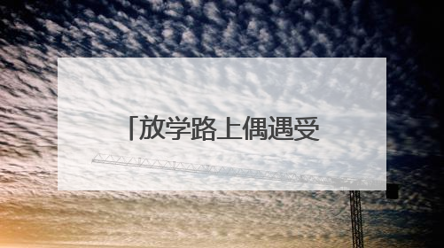 放学路上偶遇受伤夜鹭，聊城三名小学生求助民警