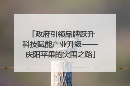 政府引领品牌跃升 科技赋能产业升级——庆阳苹果的突围之路