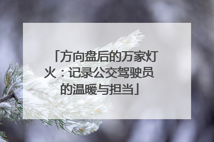 方向盘后的万家灯火：记录公交驾驶员的温暖与担当