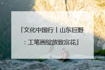 文化中国行丨山东巨野：工笔画绽放致富花