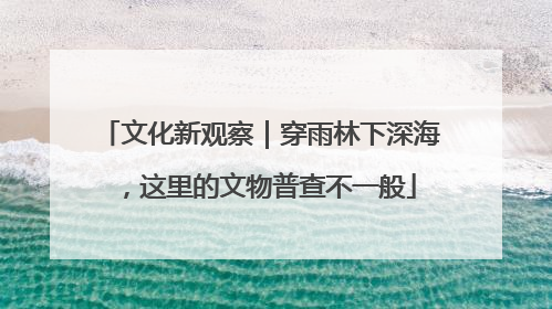 文化新观察｜穿雨林下深海，这里的文物普查不一般