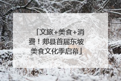 文旅+美食+消费！郏县首届东坡美食文化季启幕