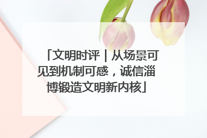 文明时评｜从场景可见到机制可感，诚信淄博锻造文明新内核