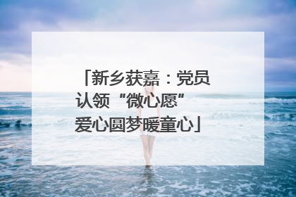新乡获嘉：党员认领“微心愿” 爱心圆梦暖童心