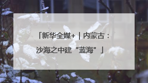 新华全媒+｜内蒙古：沙海之中建“蓝海”