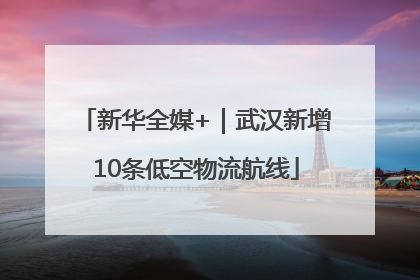 新华全媒+｜武汉新增10条低空物流航线