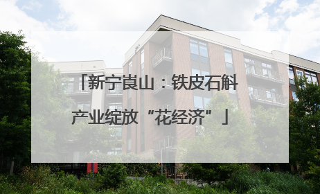 新宁崀山：铁皮石斛产业绽放“花经济”