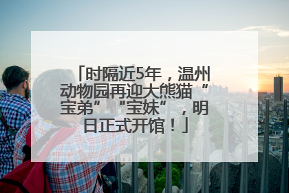 时隔近5年，温州动物园再迎大熊猫“宝弟”“宝妹”，明日正式开馆！