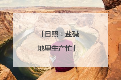 日照：盐碱地里生产忙