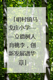 明村镇马戈庄小学——立德树人育桃李，创新发展谱华章