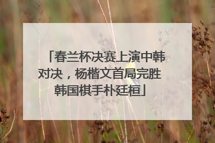 春兰杯决赛上演中韩对决，杨楷文首局完胜韩国棋手朴廷桓