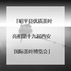 昭平县优质茶叶亮相第十九届西安国际茶叶博览会