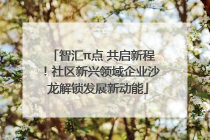智汇π点 共启新程！社区新兴领域企业沙龙解锁发展新动能