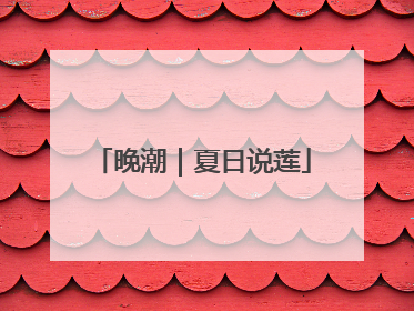 晚潮｜夏日说莲