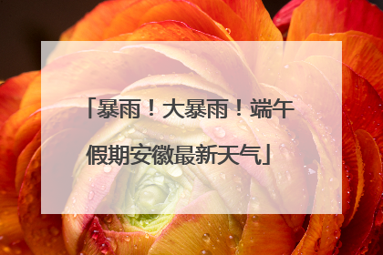 暴雨！大暴雨！端午假期安徽最新天气