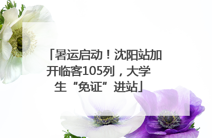暑运启动！沈阳站加开临客105列，大学生“免证”进站