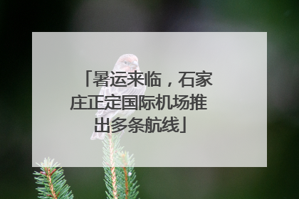 暑运来临，石家庄正定国际机场推出多条航线