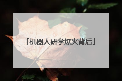 机器人研学爆火背后