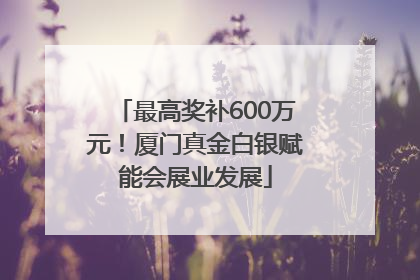 最高奖补600万元！厦门真金白银赋能会展业发展