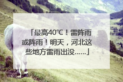 最高40℃！雷阵雨或阵雨！明天，河北这些地方雷雨出没……