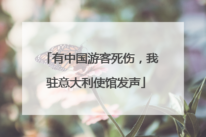 有中国游客死伤，我驻意大利使馆发声