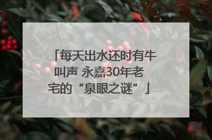 每天出水还时有牛叫声 永嘉30年老宅的“泉眼之谜”