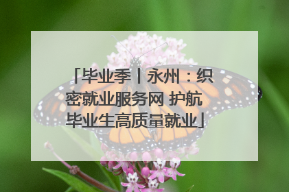 毕业季丨永州：织密就业服务网 护航毕业生高质量就业