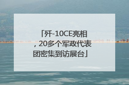 歼-10CE亮相，20多个军政代表团密集到访展台