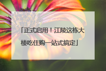 正式启用！江陵这栋大楼吃住购一站式搞定