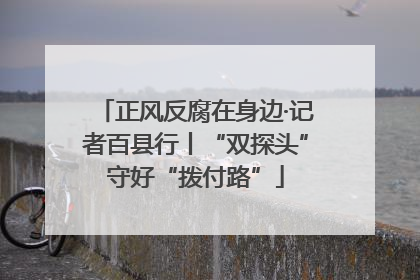 正风反腐在身边·记者百县行丨“双探头”守好“拨付路”