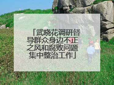武晓花调研督导群众身边不正之风和腐败问题集中整治工作
