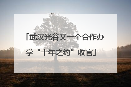 武汉光谷又一个合作办学“十年之约”收官