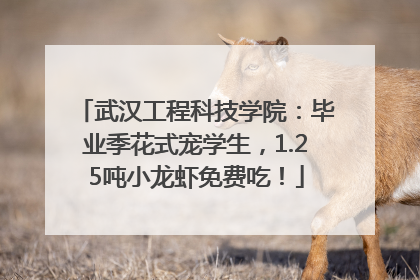 武汉工程科技学院：毕业季花式宠学生，1.25吨小龙虾免费吃！