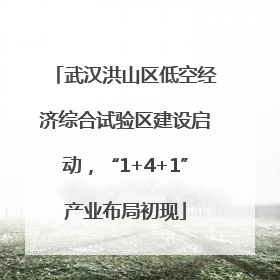 武汉洪山区低空经济综合试验区建设启动，“1+4+1”产业布局初现