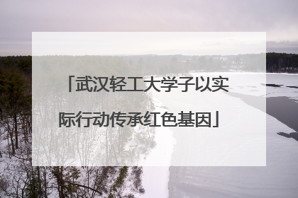 武汉轻工大学子以实际行动传承红色基因