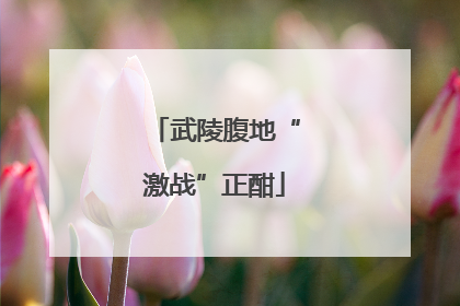 武陵腹地“激战”正酣