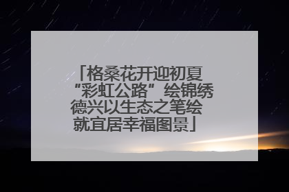 格桑花开迎初夏 “彩虹公路”绘锦绣 德兴以生态之笔绘就宜居幸福图景