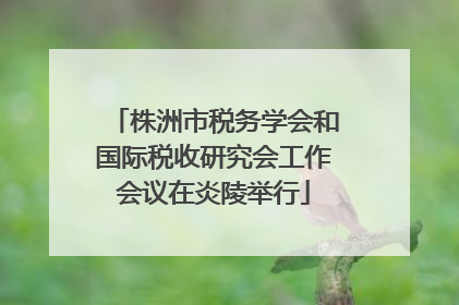 株洲市税务学会和国际税收研究会工作会议在炎陵举行