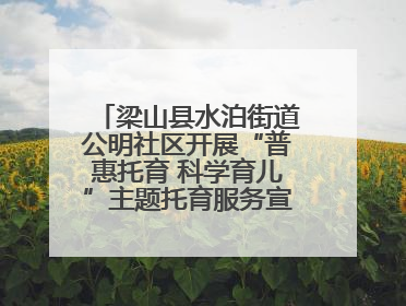 梁山县水泊街道公明社区开展“普惠托育 科学育儿”主题托育服务宣传活动