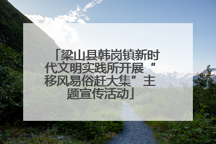 梁山县韩岗镇新时代文明实践所开展“移风易俗赶大集”主题宣传活动